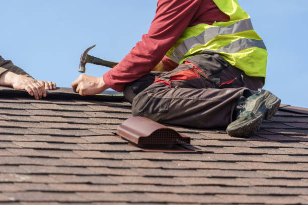 Best Roof Gutter Cleaning  in Thompsonville, CT